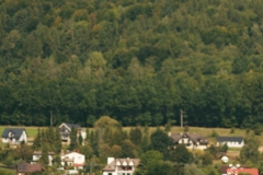 DSC08650