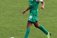 IMG_3860