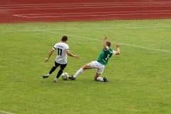 IMG_0951