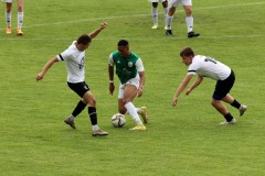 IMG_0954