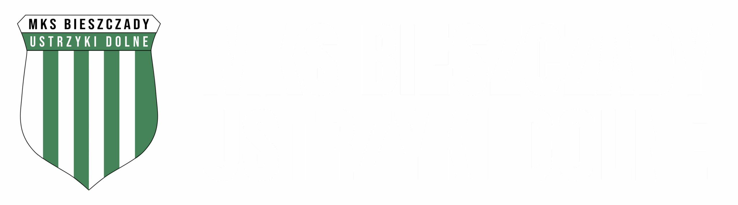MKS Bieszczady Ustrzyki Dolne